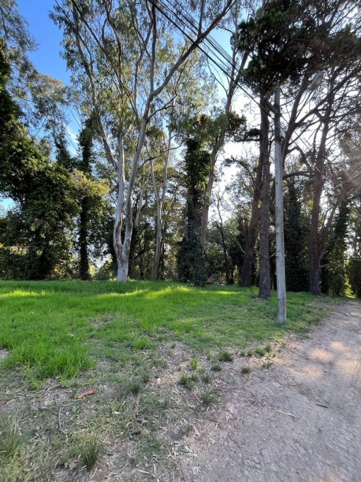 VENTA EN BLOCK DE 4 LOTES ENTRADA AL BOSQUE PERALTA RAMOS