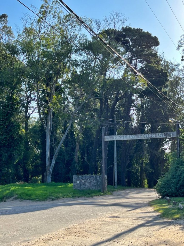 VENTA EN BLOCK DE 4 LOTES ENTRADA AL BOSQUE PERALTA RAMOS