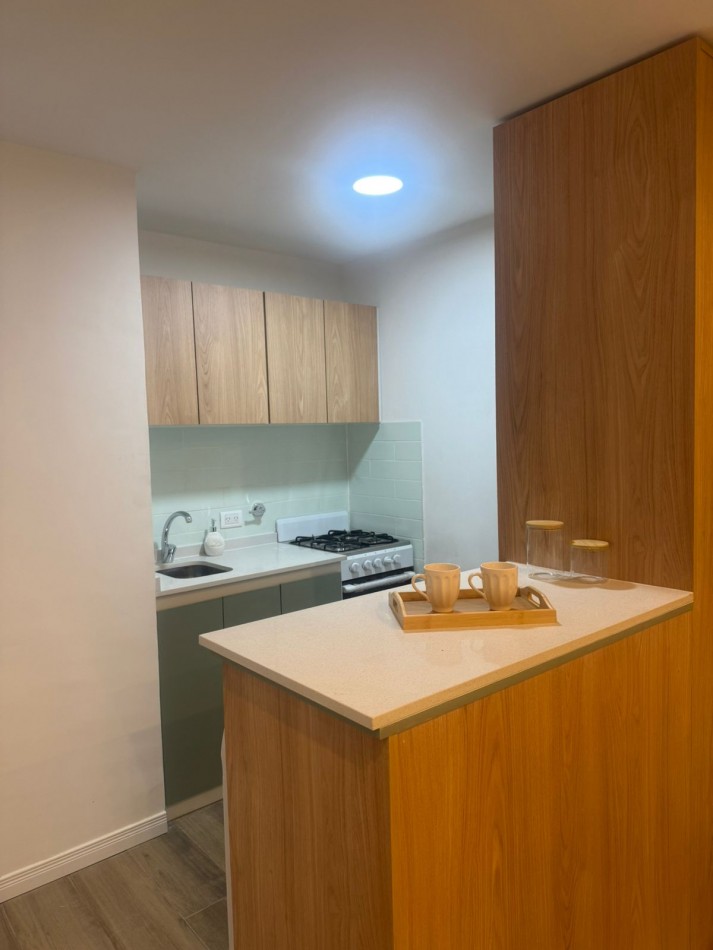 DEPARTAMENTO 1 AMB - ZONA CENTRO - MUY LUMINOSO 